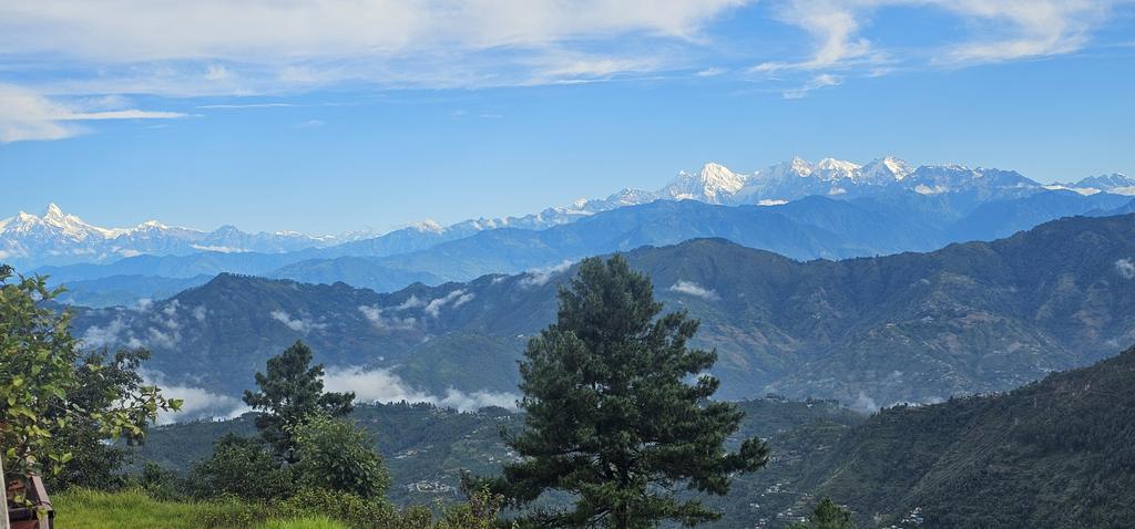 Perks of morning walk, a scene that's rare.