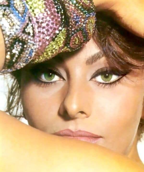 Celebs55Fashion's tweet photo. -
" كان لديها أجمل عينين رأيتهما في حياتي  " 

عمر الشريف عن صوفيا لورين . https://t.co/lYPWWbKCPi