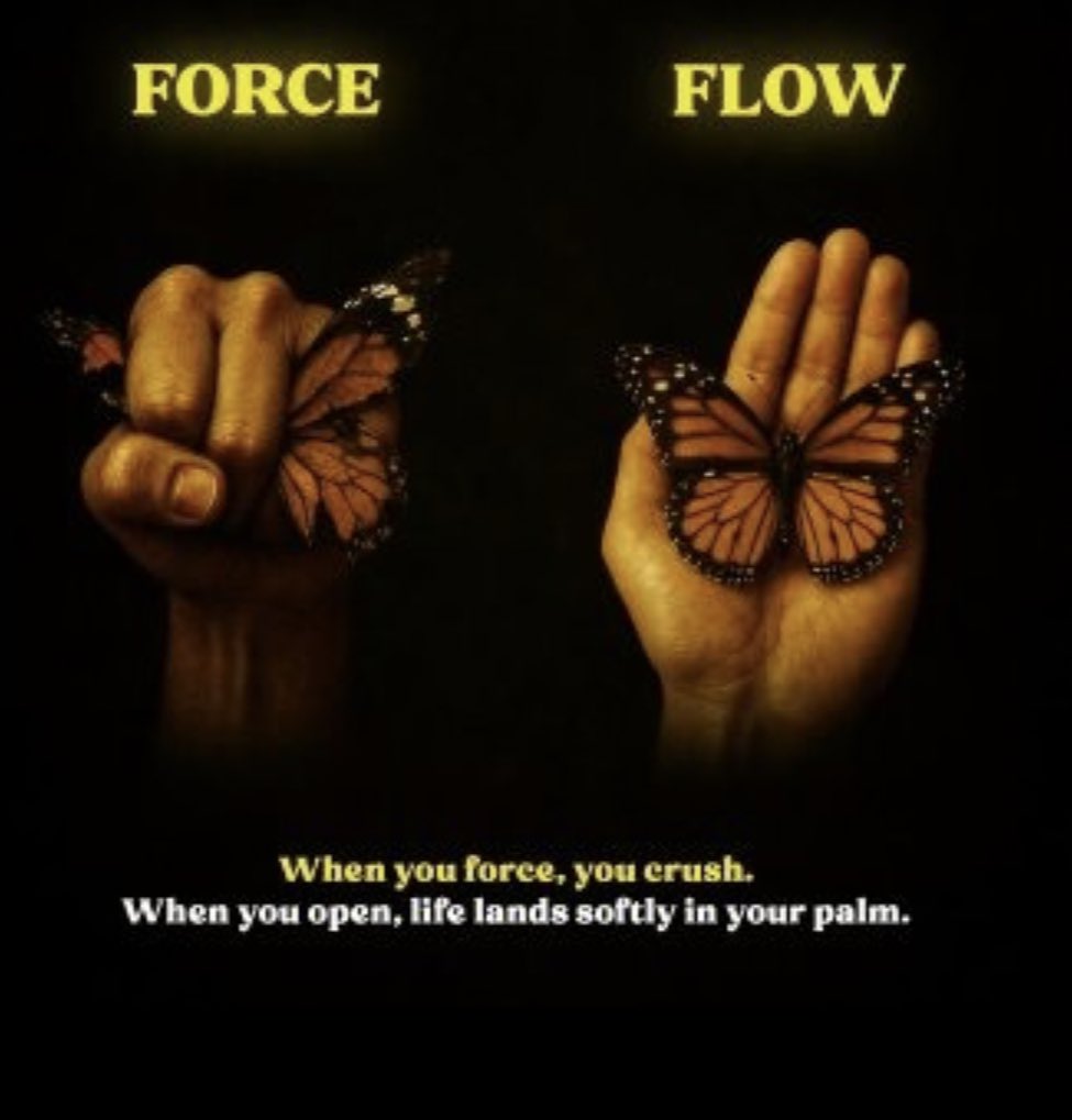 Dear_YoungLady's tweet image. In life, forcing outcomes creates resistance and chaos. True power lies in presence, not pressure. Like water, flow naturally with trust, and life unfolds with grace. Let go, and discover what finds you.