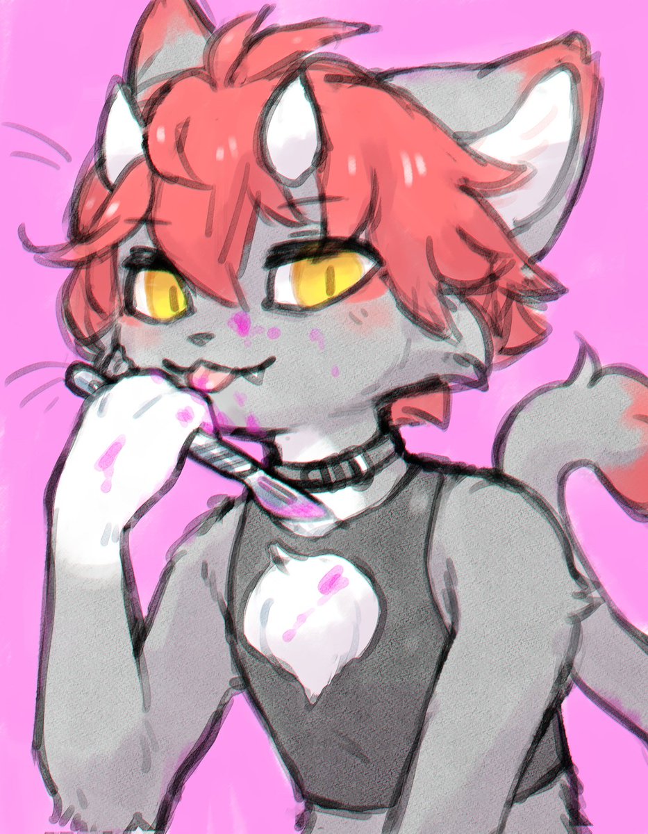 🐱🔪