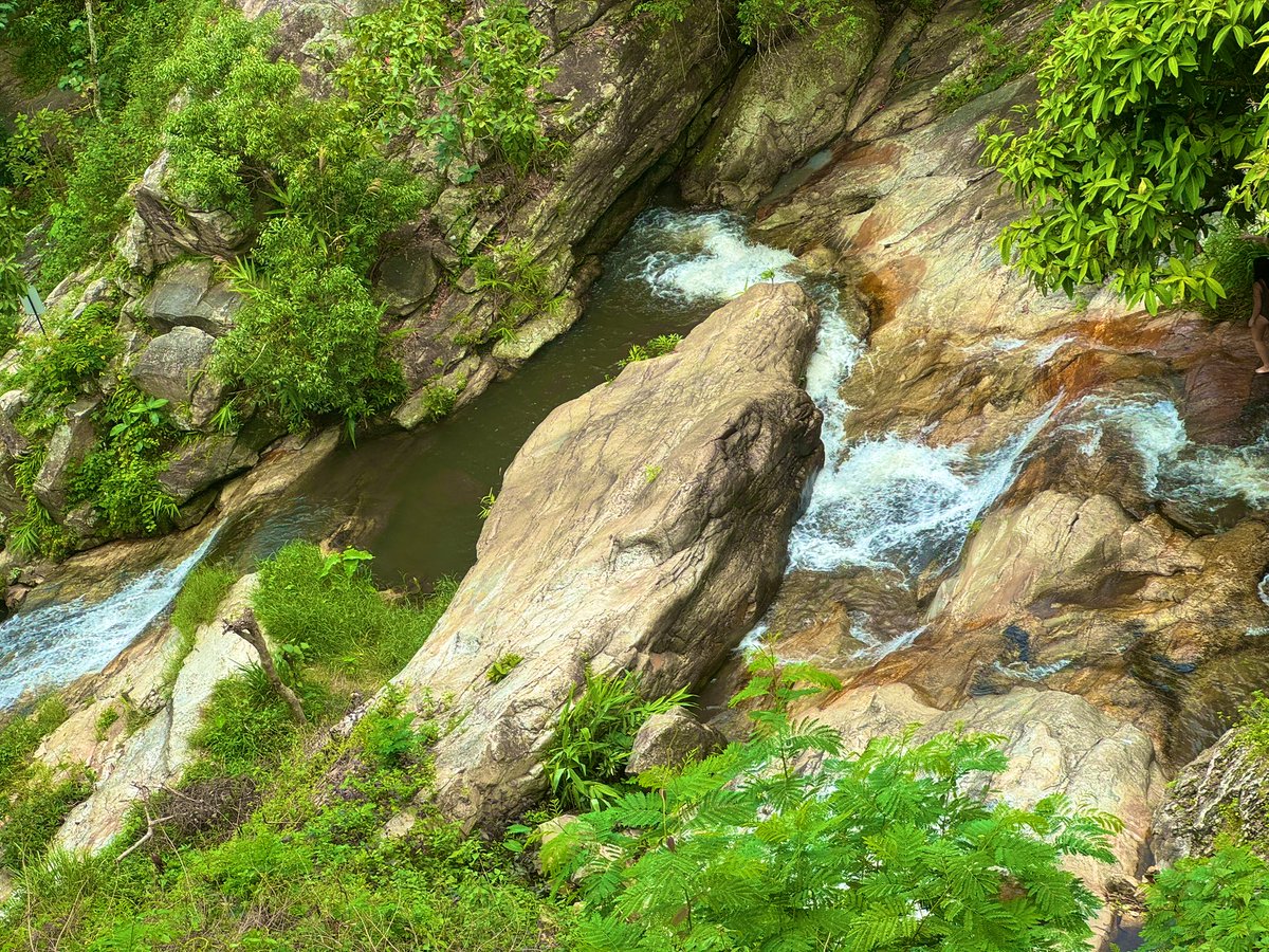 yasudakun's tweet photo. スコールの中走るチェンマイの山道は控えめに言って最高 https://t.co/76CKGzamJy