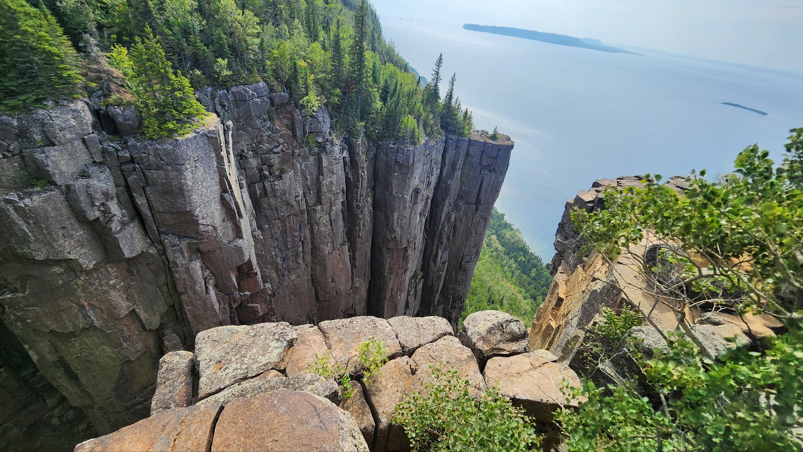 GvGFJ0MW0AAqPvb?format=jpg&name=large