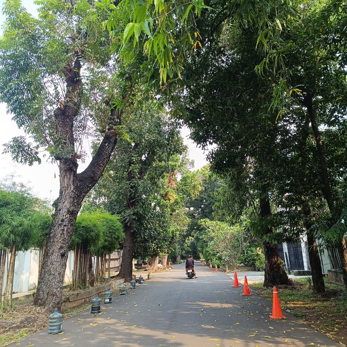 today i walked around blok m and pasar santa :)