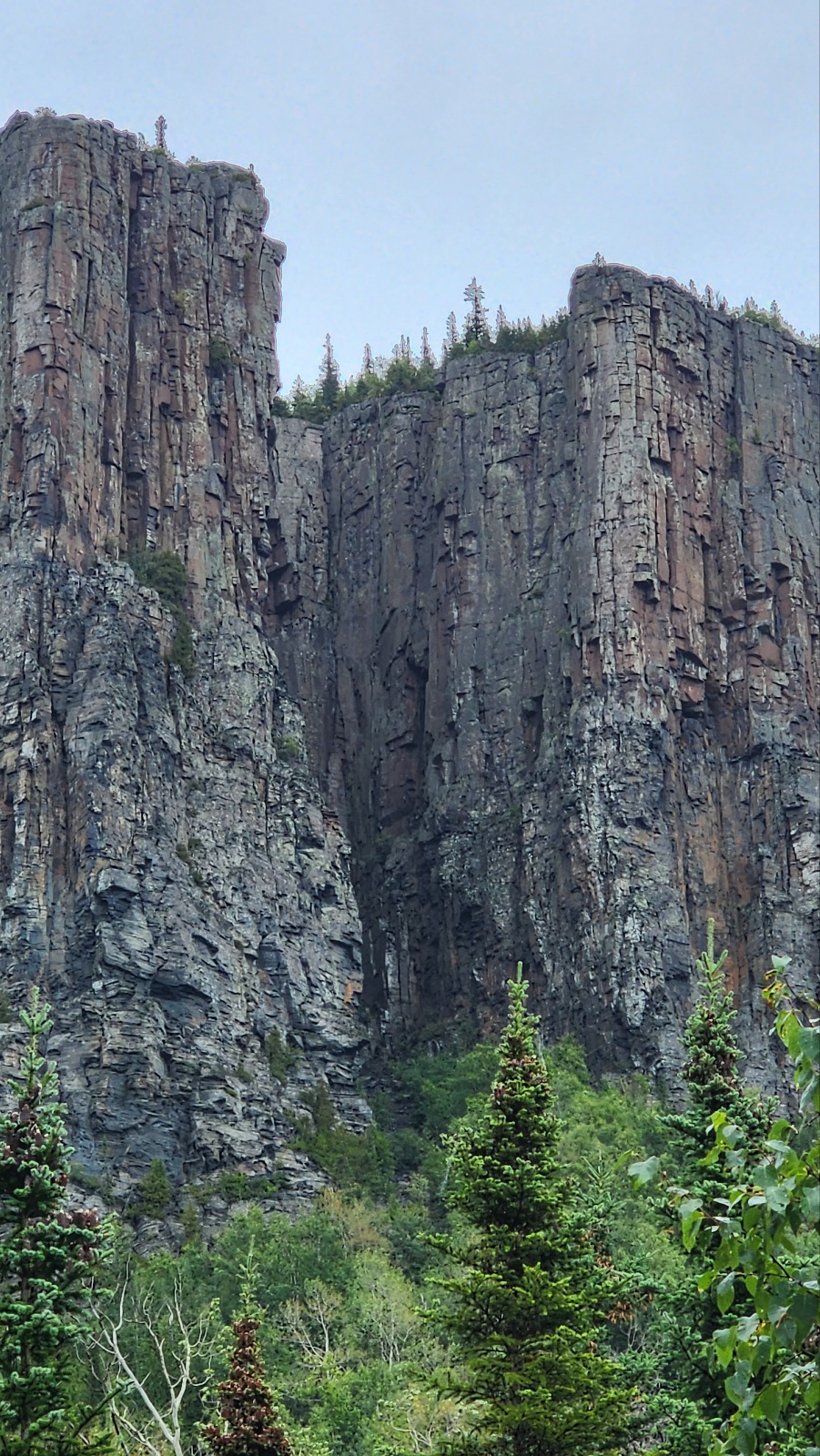 GvGFJz8XkAA1kNp?format=jpg&name=large