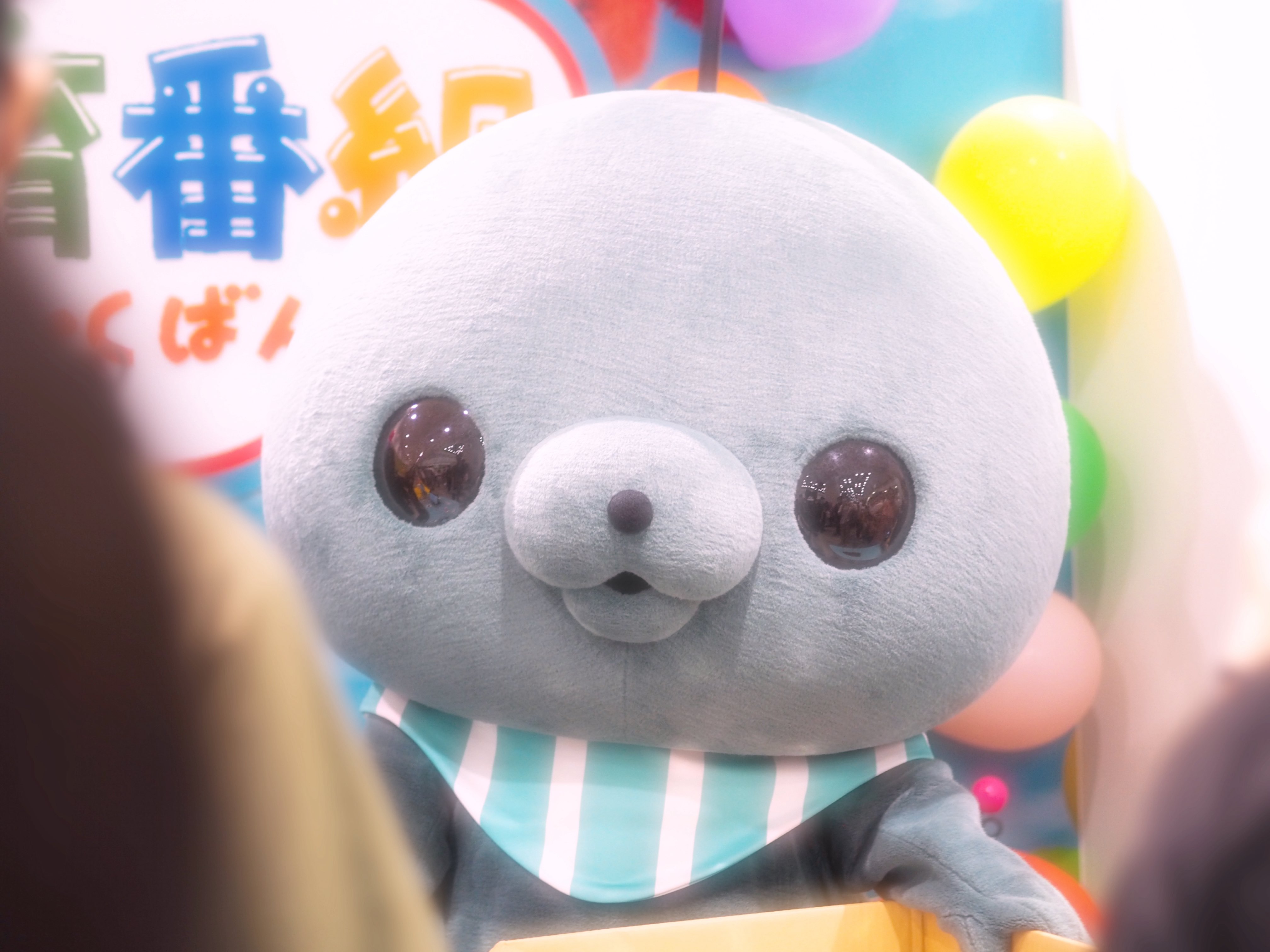 教育番組　たま MNSスタッフ on X: 