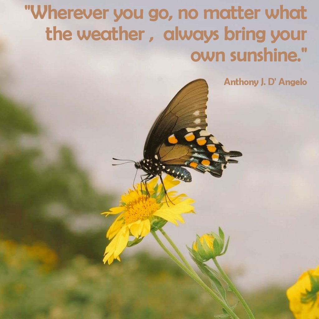 ajwani_harish's tweet photo. @ramblingsloa "Wherever you go, no matter what the weather, always bring your own sunshine."
Anthony J. D' Angelo https://t.co/HyZDtOijiL