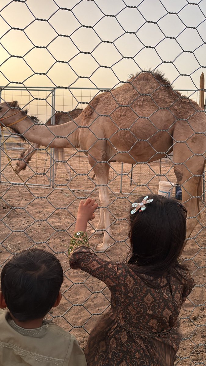 2vli7's tweet photo. 🧋🐪 📻 https://t.co/GIpI4GHacp