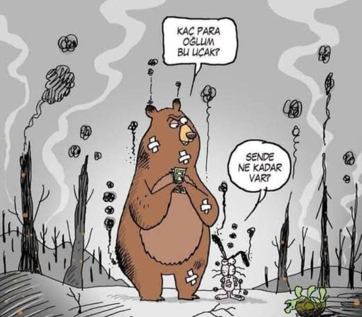 Herkes kendi başının çaresine baksın dedikleri bu olsa gerek..!!!

Maalesef durum bu 😔
