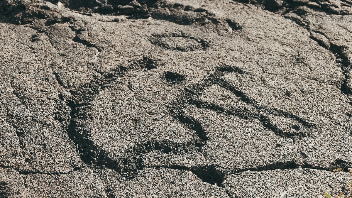 Over 23,000 petroglyphs. 🌋 A field of ancestral carvings steeped in Hawaiian legend.

January 2026, we’re headed to Puʻuloa Petroglyph Field— will you be joining us?

🔗 zurl.co/ZQvWF
#HauntedHawaii #SpiritualTravel #SupernaturalTourism #MysteriousAdventures