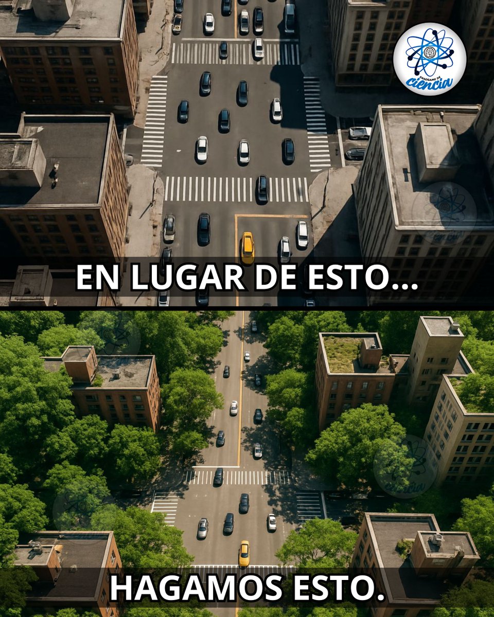 Mejor las calles con árboles. 🌳