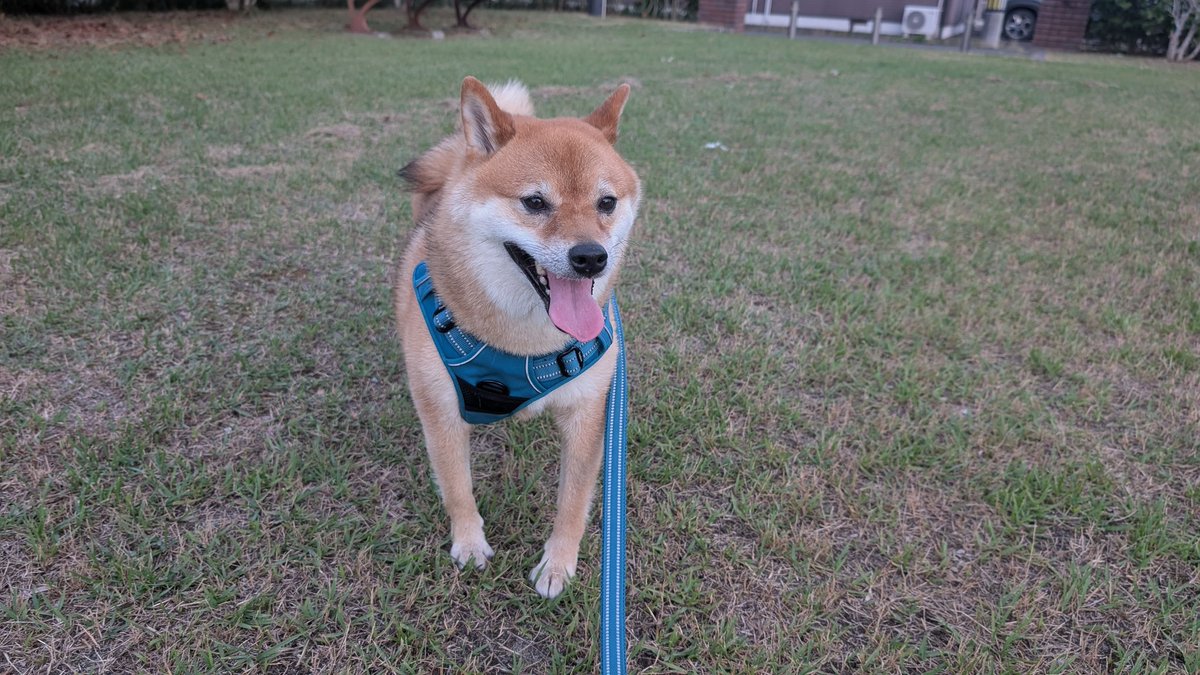 東日本ラーメン研究所さん
漆黒の冷しラーメン

犬の散歩で汗をかいたのでミネラルを補給に来ました🤣

#2025年141杯目
#東日本ラーメン研究所
#多賀城ブラック

instagram.com/p/DLugw2qTKMx/…