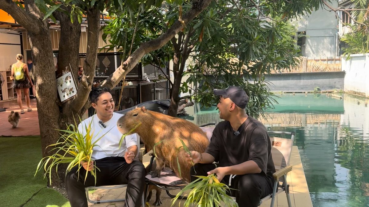 Sometimes you just gotta:

- log off
- touch grass
- and feed a capybara with a homie