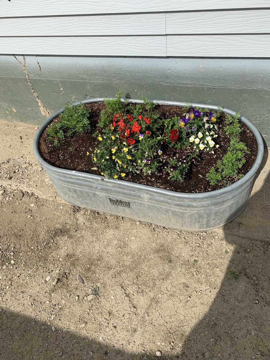 Kathy Rice tweet media