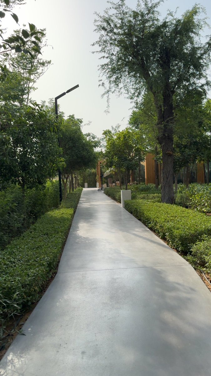 اهتمام الامارة الباسمة بالتشجير هو من اكبر الاسباب اللي يخليك تعشقها غصبا عنك ✨.