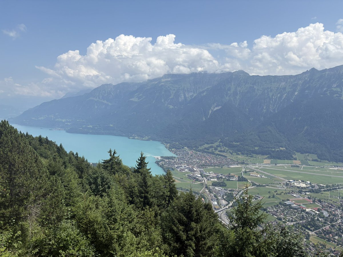 mason 🔌 tweet media