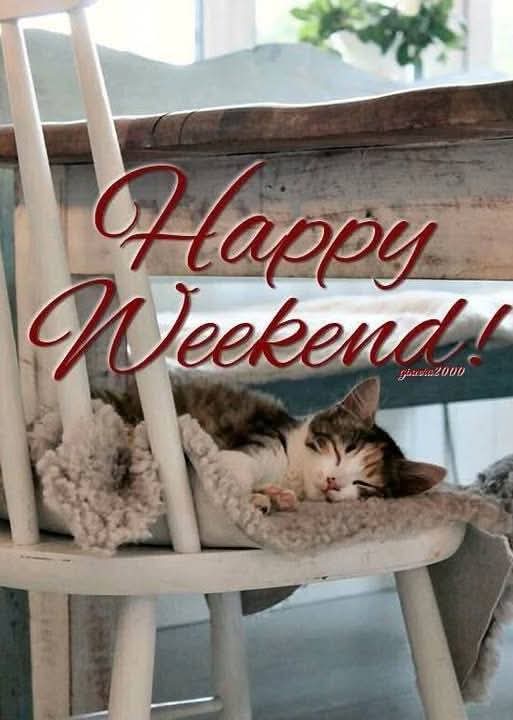 Happy Lazy Weekend..