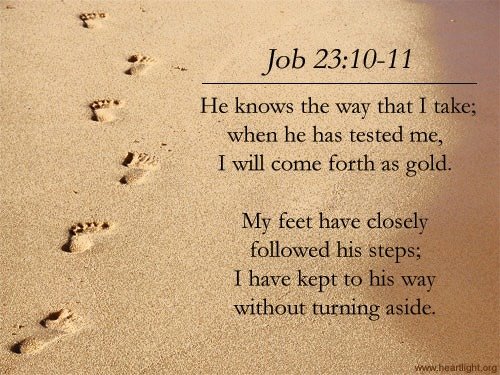 COULD THE SAME BE SAID ABOUT YOU?

"You have tested my heart; You have visited me in the night; You have tried me &amp; found nothing; I have proposed that my mouth will not transgress" (Psalm 17:1). 🤔