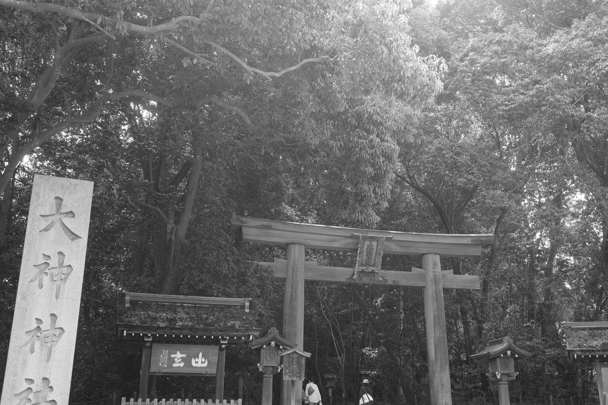 Torippiyo2's tweet image. 奈良県にある日本最古の神社
大神神社⛩️へ
大好きな場所。
まさか
このメンバーで来るとは思わなかった。
奈良旅
おもろいので是非
全パート見てみてくださいな🤗
youtu.be/0Qq7O-9WXCU
#youtube #ぼくたちのあそびば #奈良 #神社巡り