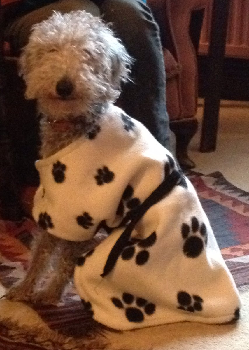 Philip Serrell tweet media