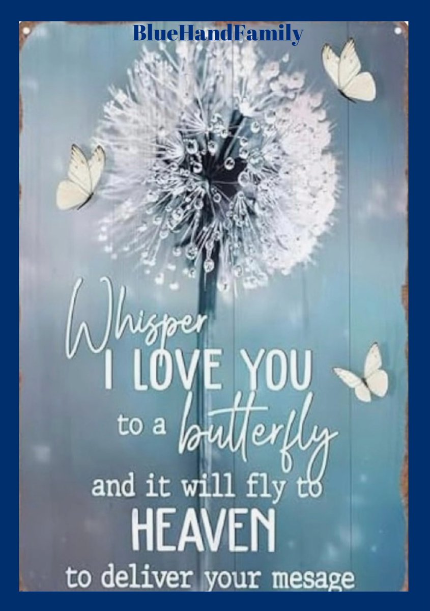 🇺🇸 Cecilia 🇺🇸 (@aceciliahines58) on Twitter photo <a href="/BlueRose_bh/">Dawn</a> <a href="/Gigi214TX/">GiGi🇺🇸💙😘</a> <a href="/BluehandRising/">OO7 🌐 ̿̿ ̿'̿'\̵͇̿̿\з=( ͡◕ʖ ͡◕)=ε/̵͇̿̿/'̿'̿ ̿</a> <a href="/Queen_Avatar_/">Avatar Queen 🌐🇬🇧 🇺🇸🇻🇺🇮🇱 #VoteReform</a> <a href="/daeshhun/">Huntress</a> <a href="/NoHatred52EL/">🅶🅸ⓇⓁ 🅸ⓃⓉ🅴ⓇⓇ🆄ⓅⓉ🅴Ⓓ 𝔐𝔬𝔯𝔤𝔞𝔫 #BH</a> <a href="/AlexBasedXx2/">♀️Alexاليكس⚫️Raised on Hose Water and Neglect</a> <a href="/PatriotInSF/">Mad Starr</a> <a href="/Bert7058/">🇺🇸Bert🇺🇸⭐️⭐️⭐️</a> <a href="/Drax2431/">ᗪRAX</a> <a href="/dalytweet/">Kay Daly</a> <a href="/PaintingRodin/">Rodin=American citizen.</a> <a href="/RealKenWalls/">Ken Walls</a> Prayers for Gigi and her family💙🙏💙
Love you, Sis! I’m here if you. 💙🫶💙
Thanks Dawn for adding me. 💙💙💙
#BlueHandFamily 💙💙💙💙💙💙 <a href="/BlueRose_bh/">Dawn</a> <a href="/Gigi214TX/">GiGi🇺🇸💙😘</a> <a href="/BluehandRising/">OO7 🌐 ̿̿ ̿'̿'\̵͇̿̿\з=( ͡◕ʖ ͡◕)=ε/̵͇̿̿/'̿'̿ ̿</a> <a href="/Queen_Avatar_/">Avatar Queen 🌐🇬🇧 🇺🇸🇻🇺🇮🇱 #VoteReform</a> <a href="/daeshhun/">Huntress</a> <a href="/NoHatred52EL/">🅶🅸ⓇⓁ 🅸ⓃⓉ🅴ⓇⓇ🆄ⓅⓉ🅴Ⓓ 𝔐𝔬𝔯𝔤𝔞𝔫 #BH</a> <a href="/AlexBasedXx2/">♀️Alexاليكس⚫️Raised on Hose Water and Neglect</a> <a href="/PatriotInSF/">Mad Starr</a> <a href="/Bert7058/">🇺🇸Bert🇺🇸⭐️⭐️⭐️</a> <a href="/Drax2431/">ᗪRAX</a> <a href="/dalytweet/">Kay Daly</a> <a href="/PaintingRodin/">Rodin=American citizen.</a> <a href="/RealKenWalls/">Ken Walls</a> Prayers for Gigi and her family💙🙏💙
Love you, Sis! I’m here if you. 💙🫶💙
Thanks Dawn for adding me. 💙💙💙
#BlueHandFamily 💙💙💙💙💙💙
