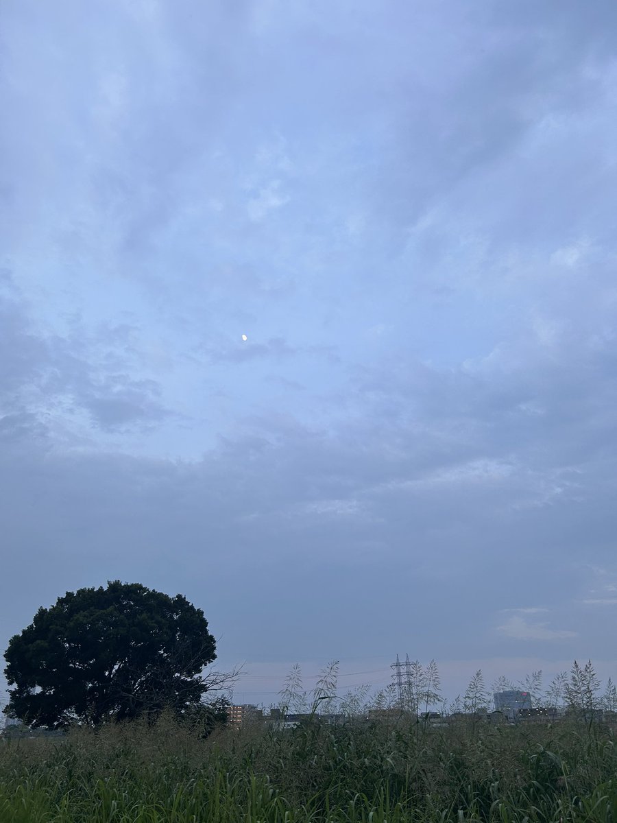 11.5km ラン　Done、7時でも明るい