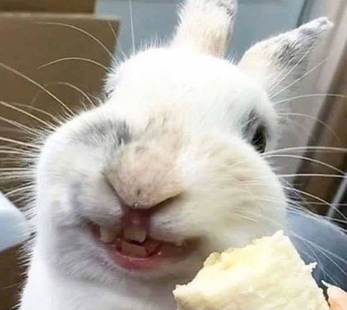 <a href="/Muncheds2/">Munch</a>