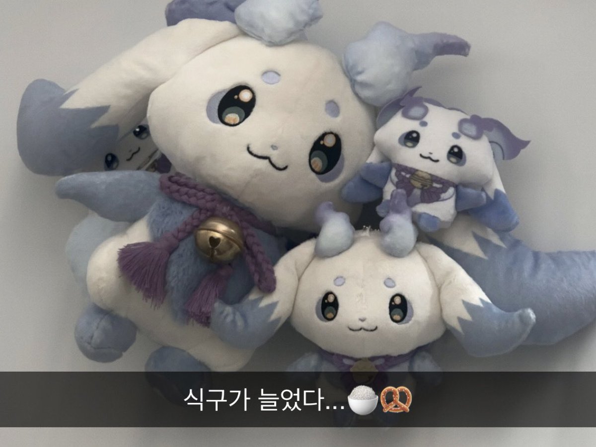 식비: 측정불가