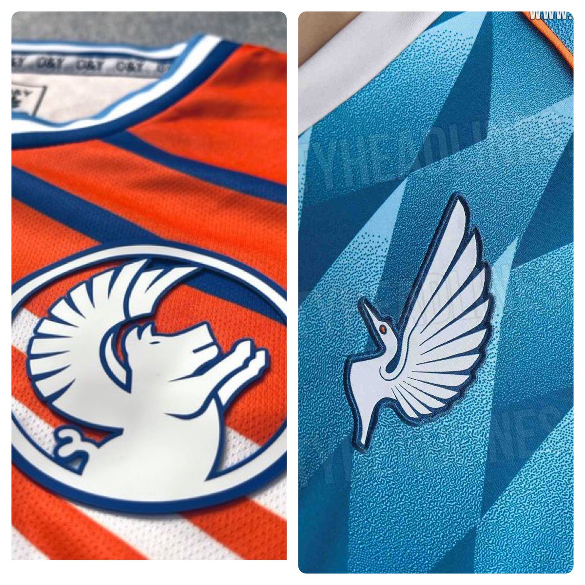 Pick your favorite winged animal badge