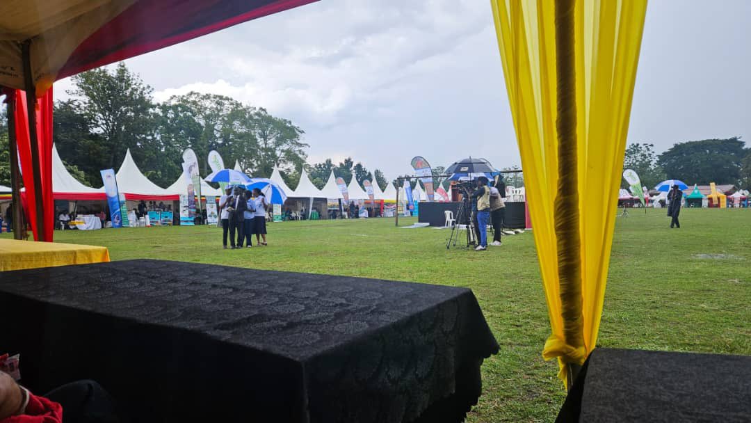 ProfMuhwezi's tweet image. I had the privilege of attending the International Cooperatives Day celebrations at Boma Grounds in Fort Portal City today. Following the government's request, @OfficialMubs will introduce programs focused on cooperatives to enhance capacity building in managing SACCOs…