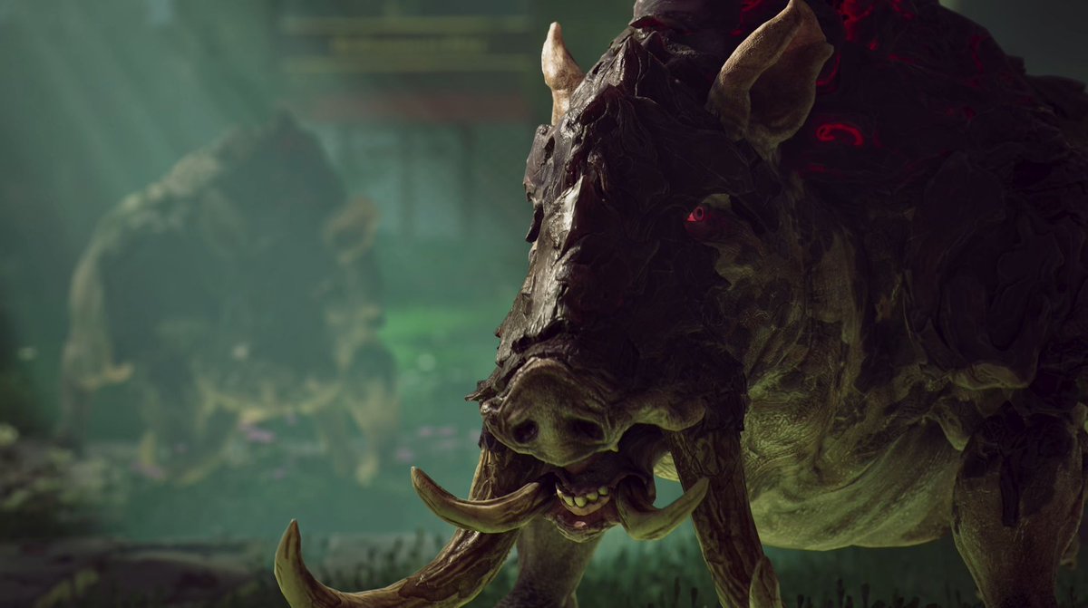 Forest Reigns tweet media