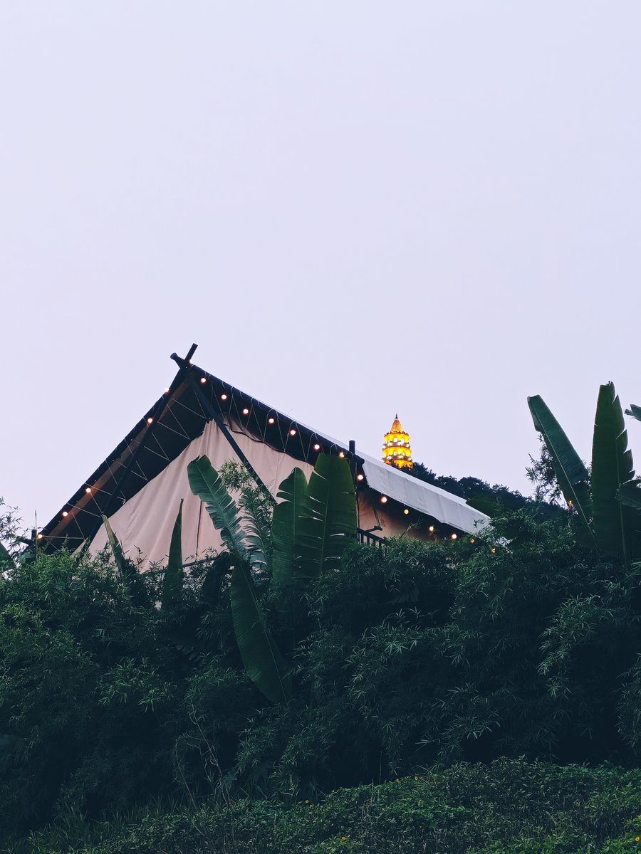 0(:3　) tweet media