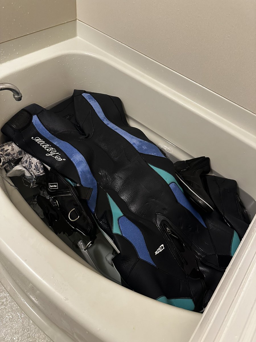 器材洗いが不十分な気がして、お風呂にドボン

今日は雨なので明日干す☀️

水入れてるけど気温が高すぎて、茹でられたらどうしようってことだけ、ちと心配