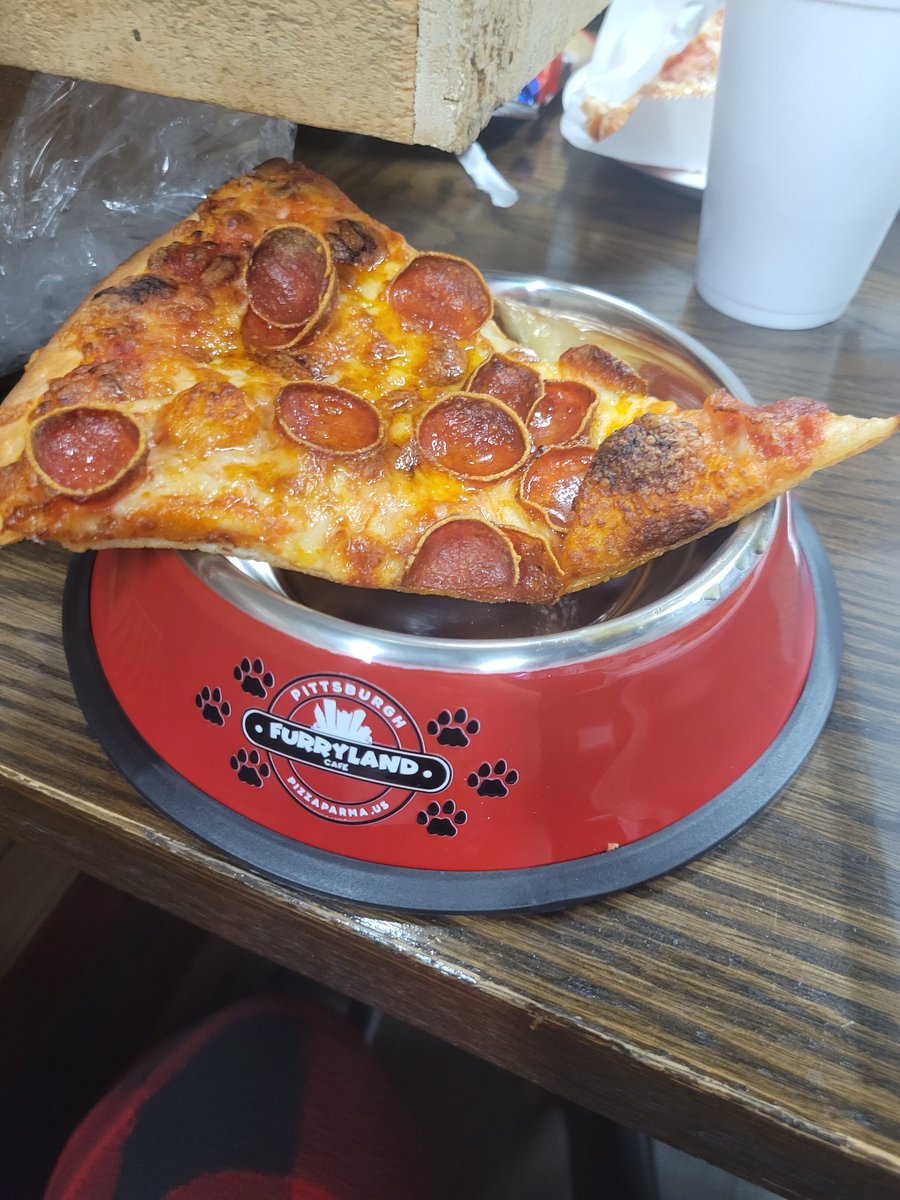 GlacialPaws's tweet photo. Amazing night out at #furryland in Pennsylvania. 4 people eating out of a dog bowl crossed was so cool <3 AC https://t.co/CeIk3j2RA9