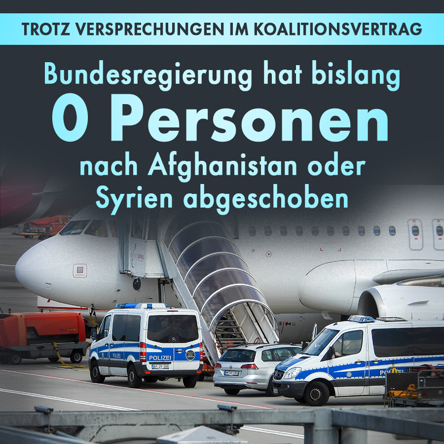 Im Koalitionsvertrag versprachen Union und SPD: „Nach Afghanistan und Syrien werden wir abschieben – beginnend mit Straftätern und Gefährdern.“ Passiert ist seit Regierungsübernahme jedoch nichts. Zwischen Union und SPD herrscht Uneinigkeit. nius.de/politik/news/k…
