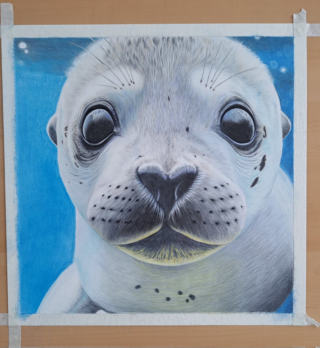 Day 4 of my seal pup. Should be able to get him finished tomorrow