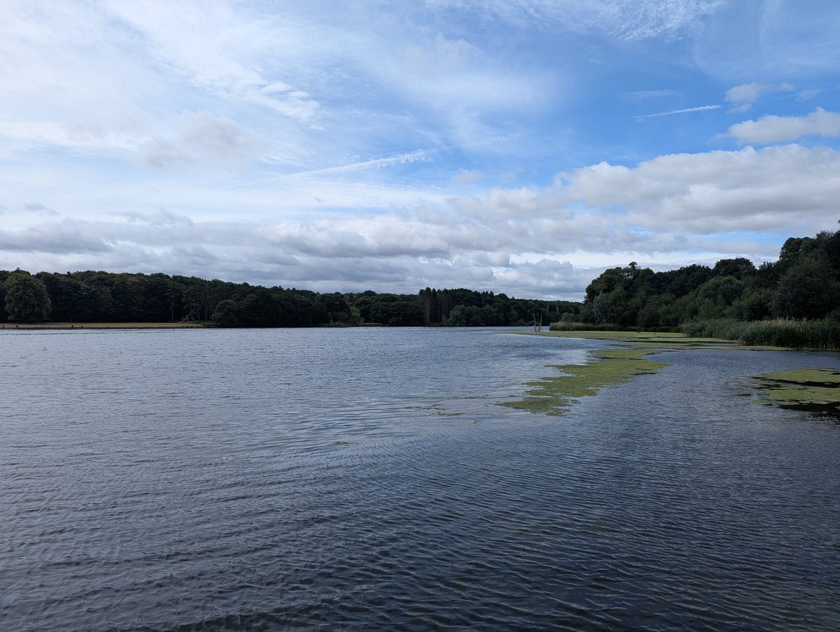 baslovia's tweet image. A charming walk at Thoresby Park - Walk for Parkinson's 👣
Rare chance exploring areas of the estate that are not usually open to the public. Stately hall, ancient and new woodland, lakes, meadows, farm land, river, church and park. Special thanks to the organisers