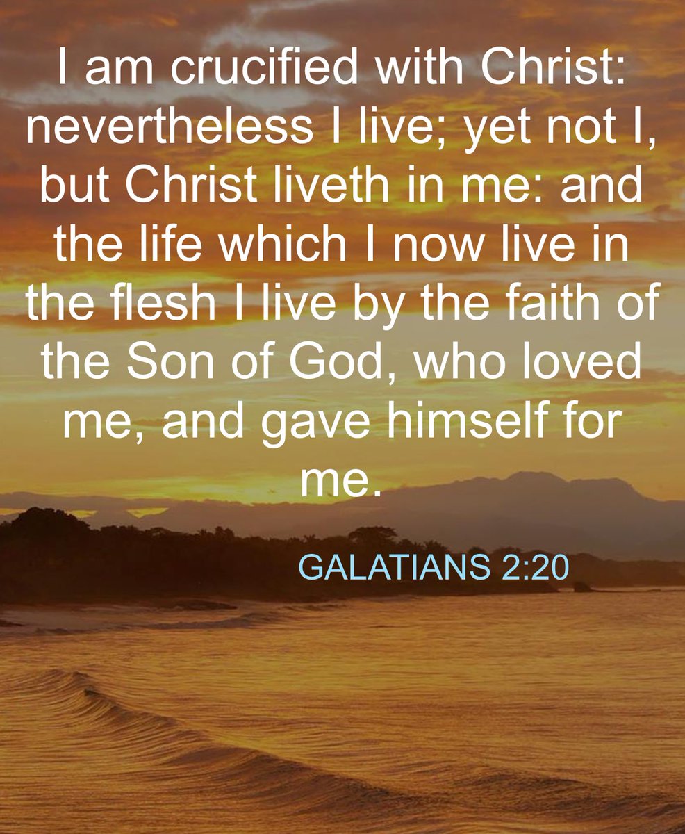 ronald mendoza (@coachmendoza12) on Twitter photo 