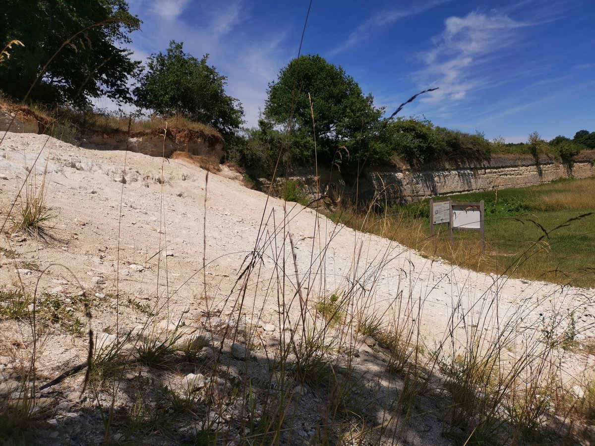 Jeremy Pate tweet media