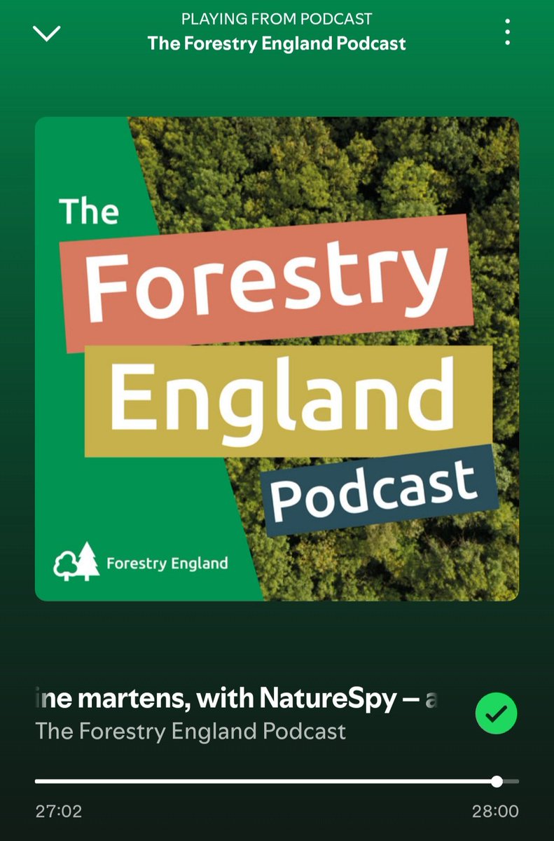 Rhian Mair Tracey (@rhiantracey) on Twitter photo Wonderful walk in the woods, listening to <a href="/ForestryEngland/">Forestry England</a>
podcast, with <a href="/BexLindsay/">Bex Lindsay</a>. Pinemartens are making a comeback! Wonderful walk in the woods, listening to <a href="/ForestryEngland/">Forestry England</a>
podcast, with <a href="/BexLindsay/">Bex Lindsay</a>. Pinemartens are making a comeback!