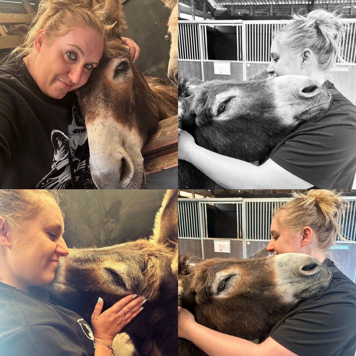 Lovely Wiggins cuddles <a href="/RedwingsHS/">Redwings</a> 🫏 ❤️