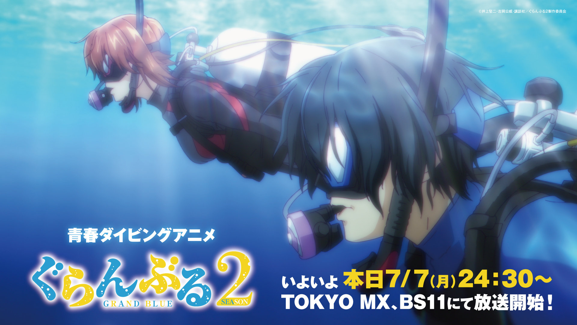 ぐらんぶる　DVD　アニメ　TVアニメ　全巻　Grand Blue　ダイビング Blu-ray&DVD -TVアニメ「ぐらんぶる」公式サイト-