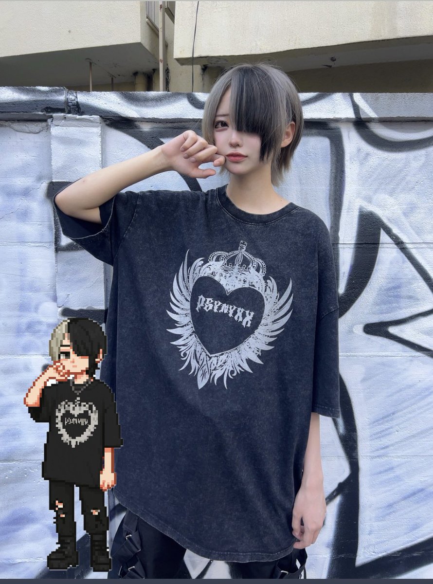 ハートウィングピグメントT が あらわれた！

あなた は どうする ？

    たたかう
▶︎ 手に入れる