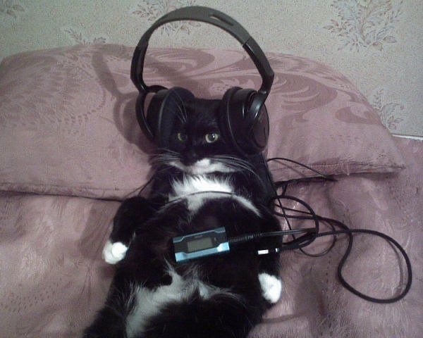 Miaw's tweet photo. https://t.co/8uA0k22VBY