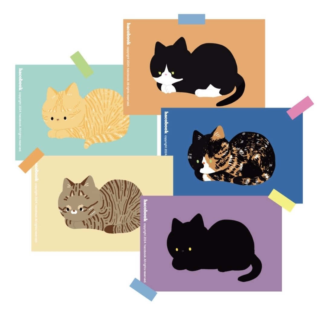 드디어 돌아온 해코북 온라인 스토어..!
코숏 고양이가 가득한 해코북에 놀러오세요~!
재오픈 기념 3만원 이상 구매 시 무배!😲