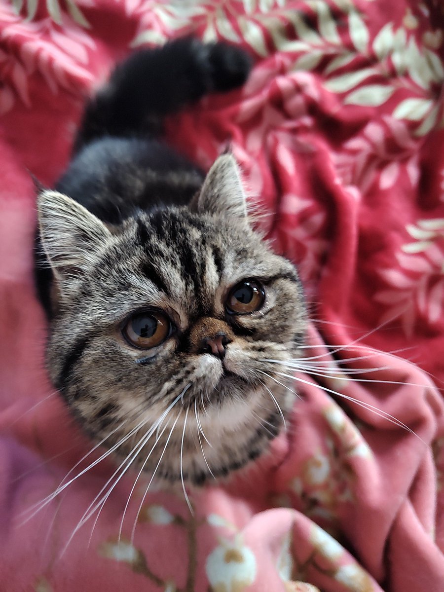 Por dios, mi amor. Me tenés enamorada 🥰