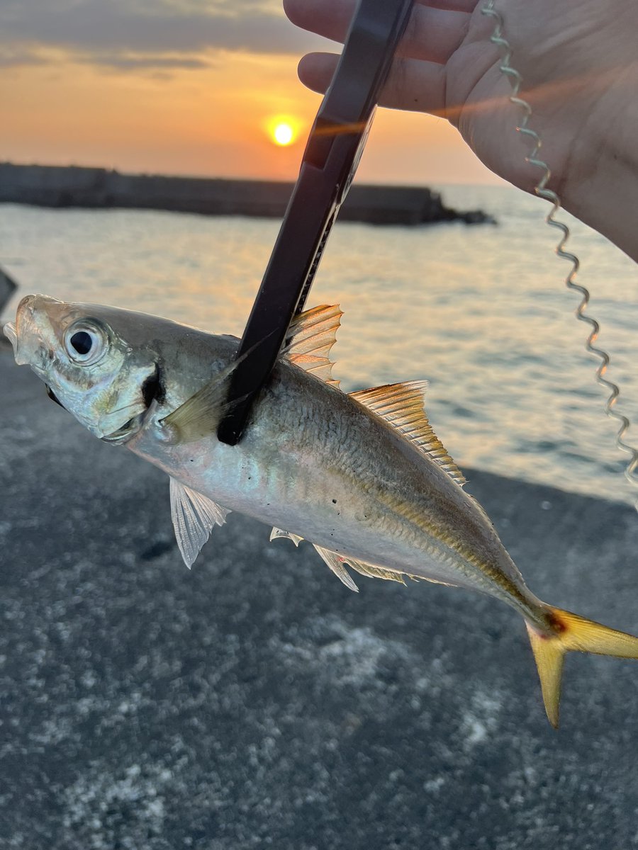 hirowsfishing's tweet photo. あ、どうもお久しぶりです。 https://t.co/XYf5MjQKe0