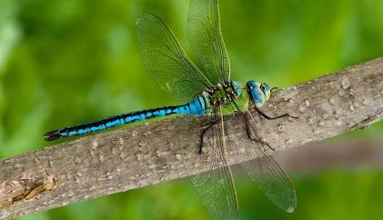 TreeHouseLearn's tweet image. Tree House Learning July 2025 Newsletter 🌻☀️ - mailchi.mp/cc0d32d3cbcb/t…