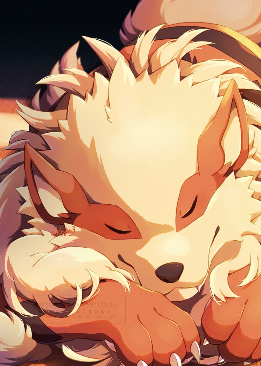 ウインディ💤