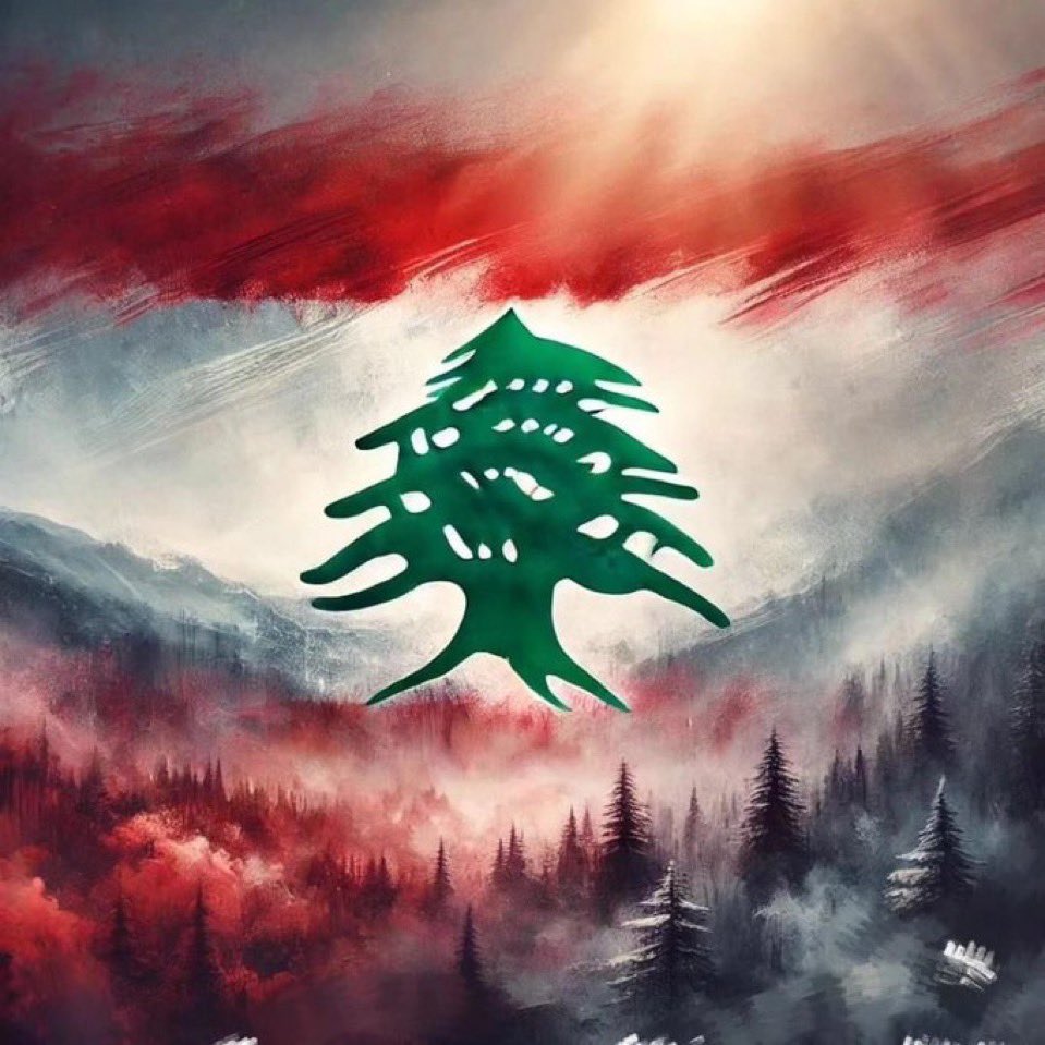 «El Líbano tendrá que elegir entre abrazar el desarrollo global de la comunicación y la información o seguir siendo rechazado por una población que ya no lo reconoce».

Leer más: maronitas.org/post/el-enemigo