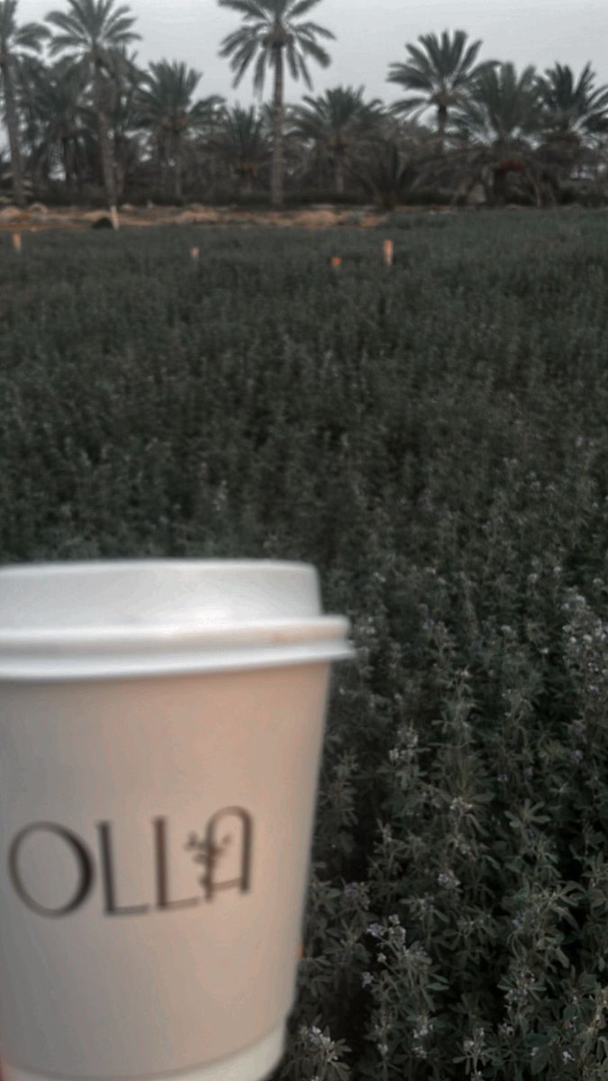 #مساءالخـــــــير 💜
لمن يمنحون مساءنا نكهةً مختلفة                 
لـِ الأصدقاء الأنقياء .. لـِ الأحبةِ الأوفياءِ          
لـِ عابرٍ يحمل في قلبه معاني الإنسانيــة             
لـِ كل من يجعلنا نؤمن أن الدنيا مازالت بخير      

          مساء_الخير🌤️
``
``